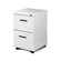Great Openings Mobile Pedestal with Two File Drawers