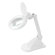 Daylight Company Naturalight Table Magnifying Lamp