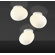 Foscarini Gregg Wall or Ceiling Light