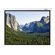 Buhl Innsbruck 68" x 58" Electric Projector Screen - 1:1 Format