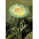 ACHLA Green Fish Birdbath