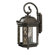 Acclaim Lighting Florence 4 Light Wall Lantern
