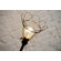 District Eight Design VR25C Table Lamp