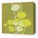 Inhabit Aequorea Seedling in Olive