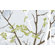 Inhabit Ailanthus Slat Hanging Panel Collection