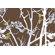 Inhabit Ailanthus Slat Hanging Panel Collection