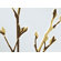 Inhabit Axis Slat Hanging Panel Collection