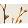 Inhabit Axis Slat Hanging Panel Collection