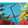 Juliana Greenhouses Greenhouse Ventomax Window Opener