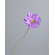 Heart to Heart Gerber Daisy Flower Wall Border