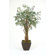 Distinctive Designs 6' Olive Tree in Square Contempo Planter