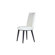 Allan Copley Designs Artesia Side Chair (Set of 2)