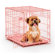 Midwest Homes For Pets iCrate Fashion Edition Dog Crate