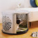 DenHaus BowHaus Modern Dog Crate