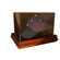 Caseworks International Boardroom Base Baseball Cap Display Case