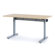 Anthro Ergonomic Elevate II Advanced Electric Lift Table