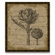 Epic Art Artichoke Wall Art