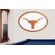 Fan Creations NCAA Logo Wall Art