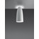 Artemide Nur 75 Gloss Ceiling Light