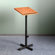 ABCO Fixed Height Speaker Stand