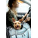 Teafco Argo Petagon Medium Airline Approved Pet Carrier in Maldives Blue