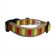 George SF Mod-Stripe Cotton Tiny Dog Collar