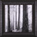 Art Effects Capilano Forest Framed Artwork