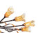 ET2 Evolution 20 Light Chandelier