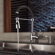 Kraus Single Handle Single Hole Kitchen Faucet