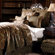 Eastern Accents Umbridge Bedding Collection