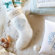 Eastern Accents Coastal Tidings Shelly Spa Stocking