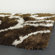 Chandra Rugs Fola Brown Rug