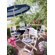 Kettler USA Venezia Dining Arm Chair