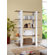 Hokku Designs Ellise Bookcase/Display Stand in Matte Walnut and White