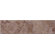 Shaw Floors Capri 3" x 12" Bullnose in Walnut