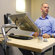 Ergotron MX LCD Arm Desk Mount (Fits Screens up to 30")