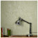 Graham & Brown Map Lemongrass Wallpaper by Basso & Brooke