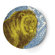 Thomas Paul Bazaar Dinner Plate (Set of 4)