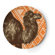 Thomas Paul Bazaar Dinner Plate (Set of 4)