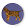 Thomas Paul Bazaar Coaster (Set of 4)