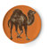 Thomas Paul Bazaar Coaster (Set of 4)