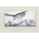 Thomas Paul Ornithology Sham Set