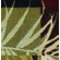 Shaw Rugs Modern Elements South Beach Multi Rug