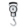 Austin House Travel Scale
