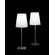 FontanaArte Chiara Table Lamp