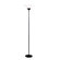 Adesso Pisces Floor Lamp in Black