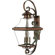 Quoizel 34.5" Carleton Outdoor  Wall Lantern in Aged Copper