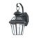 Quoizel Sussex Outdoor Wall Lantern