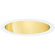 Progress Lighting 8" Wall Washer Recessed Trim in Gold Alzak