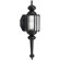 Progress Lighting BrassGuard Wall Torch in Black